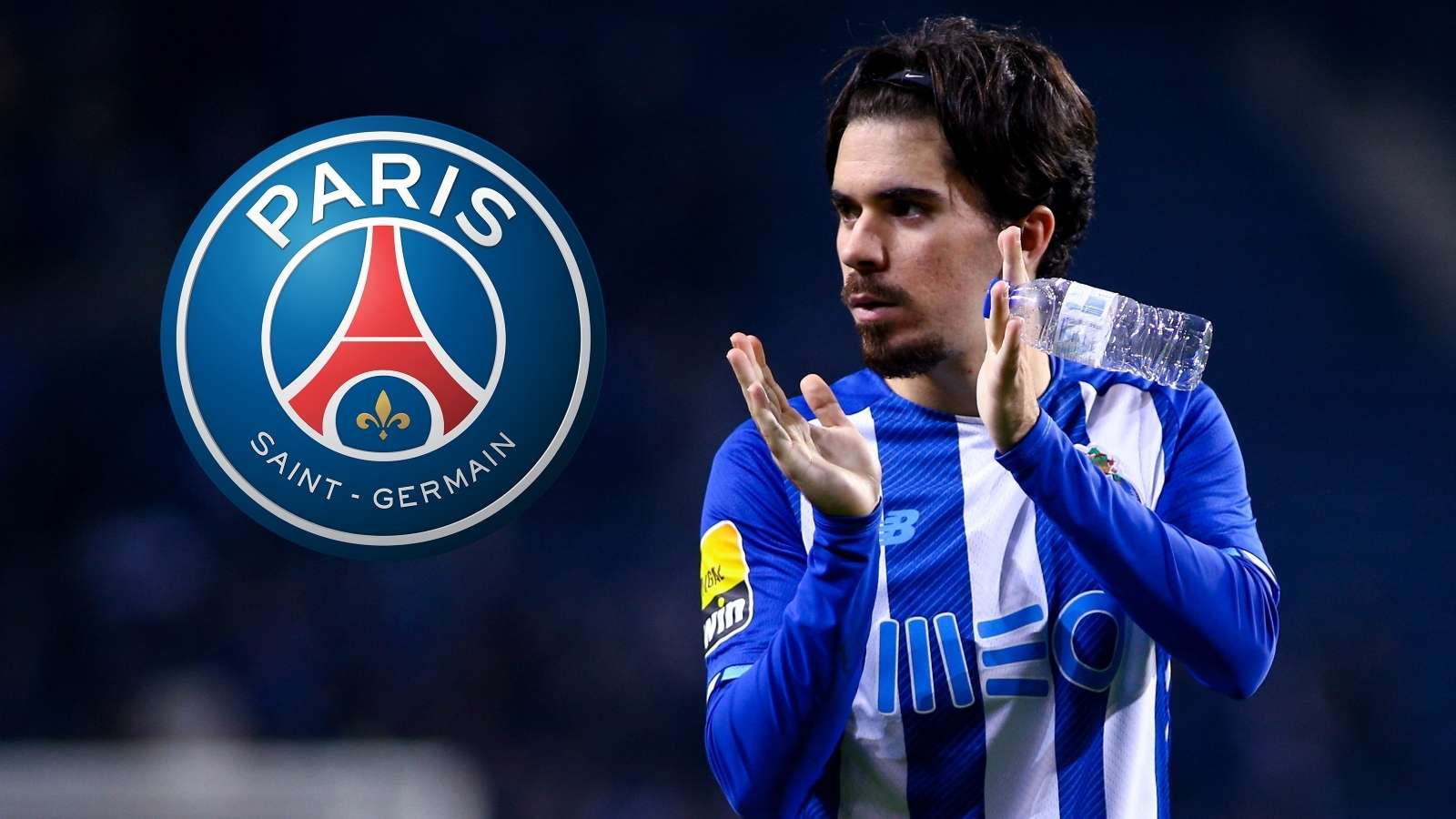 象和无可挑 象和无可挑