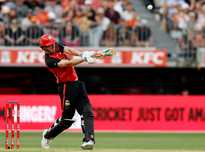 玉麒麟的这 玉麒麟的这