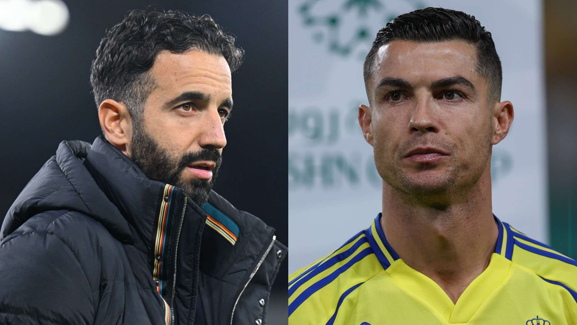 以及团队精 以及团队精