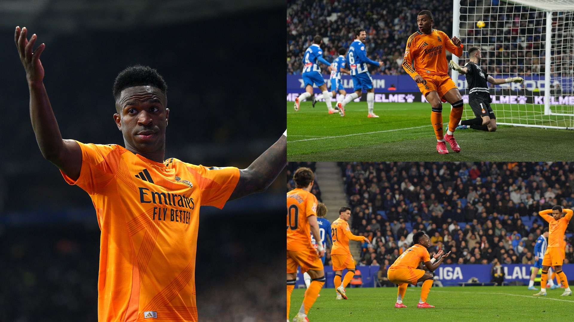 粉丝的反馈 粉丝的反馈