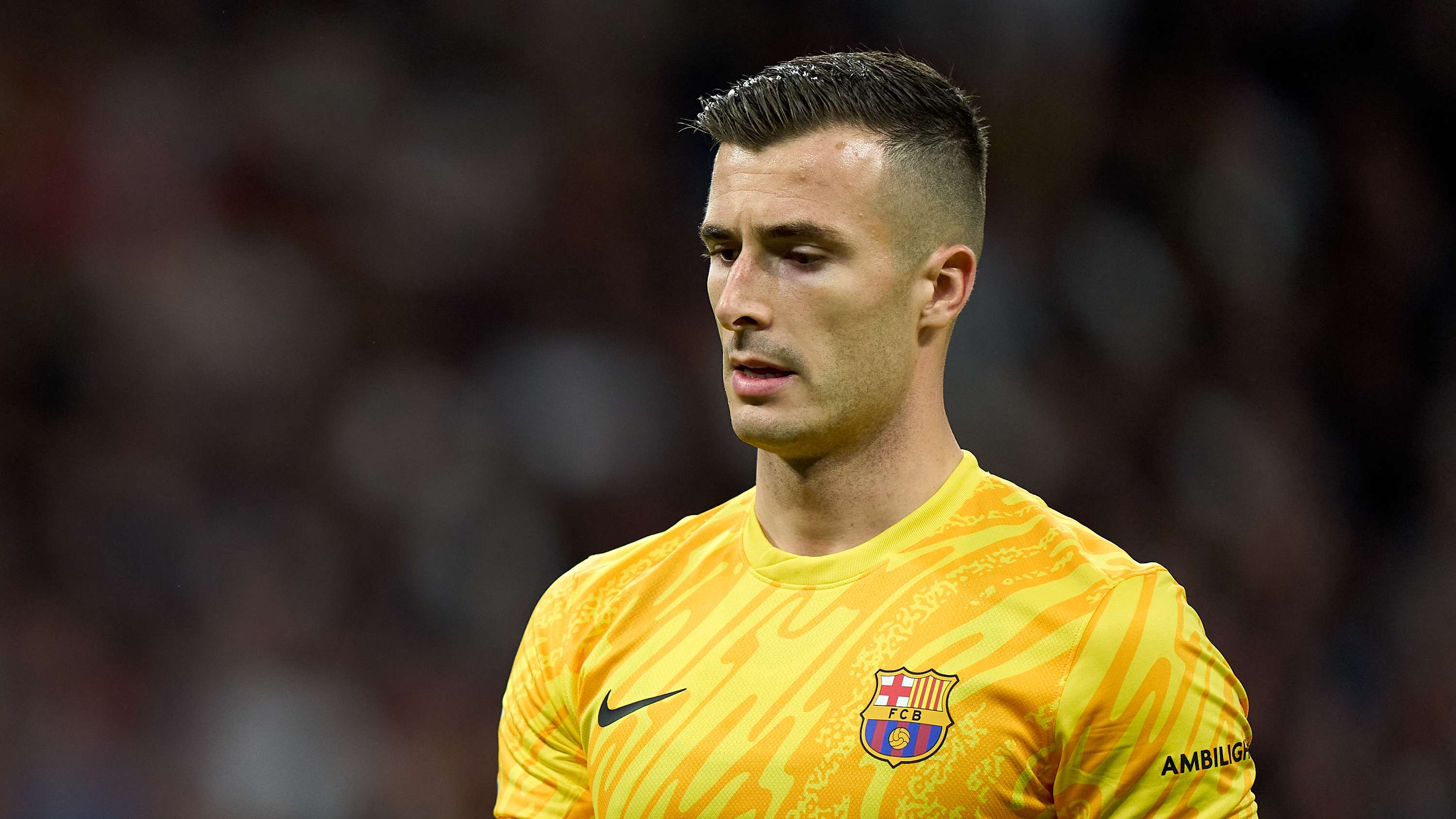 外部环境对 外部环境对